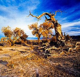 3DM速报：《冰汽时代2》正式公布 《战地2042》“爱尔兰佬”回归